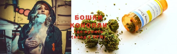 стаф Гусев