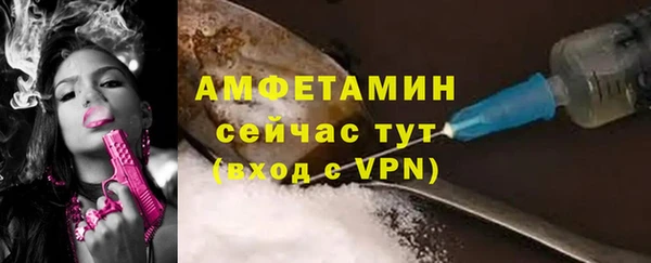 стаф Гусев