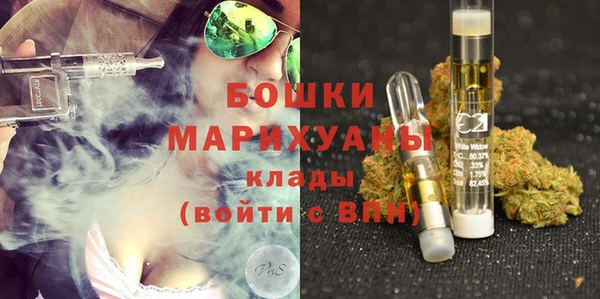 стаф Гусев