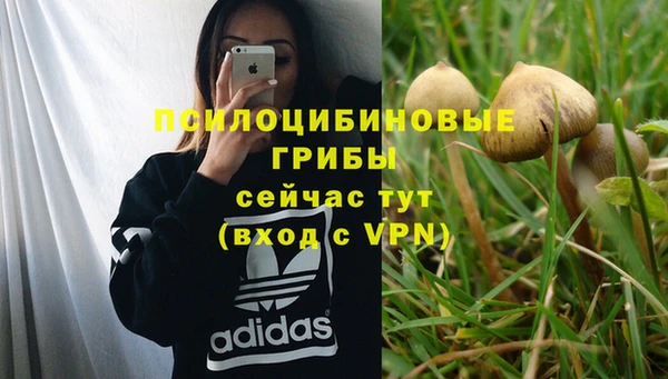 стаф Гусев
